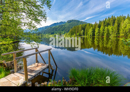 Blick auf die Reflexionen in Schwarzsee, Kitzbühel, Tirol, Österreich, Europa Stockfoto