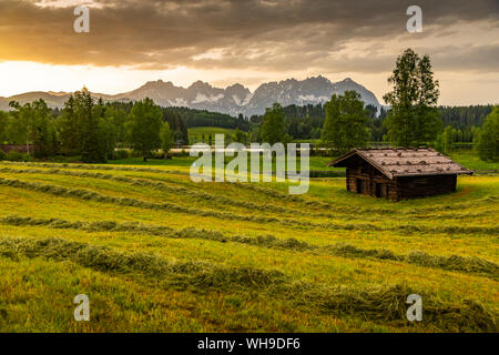 Blick auf den Wilden Kaiser von Schwarzsee in der Nähe von Kitzbühel, Tirol, Österreich, Europa Stockfoto