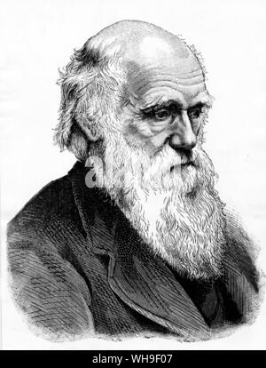 Charles Darwin (1809-1882), englischer Wissenschaftler, der die moderne Theorie der Evolution entwickelt und vorgeschlagen, mit Robert Wallace, das Prinzip der natürlichen Selektion. Stockfoto