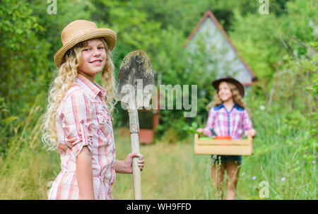 Gärten tolle pflegen sinnvolle und Spaß lernen für Kinder. Gartenarbeit Grundlagen. Gartenarbeit lehre Life Cycle Prozess. Kids Mädchen mit Tools für die Gartenarbeit. Sommer an der Landschaft. Stockfoto