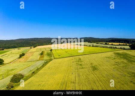 Luftaufnahme über Getreidefelder, Wiesen und Wälder, Wetterau, Deutschland Stockfoto