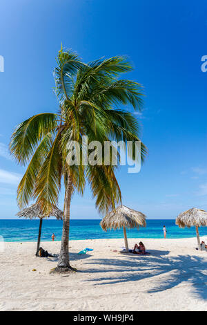 Palmen und Sonnenschirme am Strand Playa Ancon in der Nähe von Trinidad, Trinidad, Kuba, Karibik, Karibik, Zentral- und Lateinamerika Stockfoto