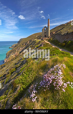 Wheal Coates Zinnmine und Motor im Haus in der Nähe von St. Agnes, UNESCO-Weltkulturerbe, Cornwall, England, Vereinigtes Königreich, Europa Stockfoto