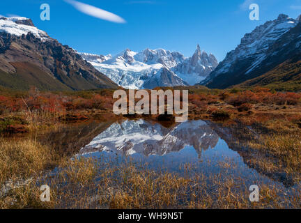 Herbstliche Farben im Nationalpark Los Glaciares mit Reflexionen von Cerro Torro, UNESCO-Weltkulturerbe, Provinz Santa Cruz, Argentinien Stockfoto