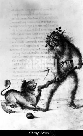 Der Wilde Mann, von einem lateinischen Codex: das Tarot Narr wurde mit der wilde Mann oder Grüne Mann, der Frühling Prozessionen in vielen Teilen Europas führte. Stockfoto