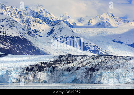 Gletscher in Harvard College Fjord, Southeast Alaska, Vereinigte Staaten von Amerika, Nordamerika Stockfoto