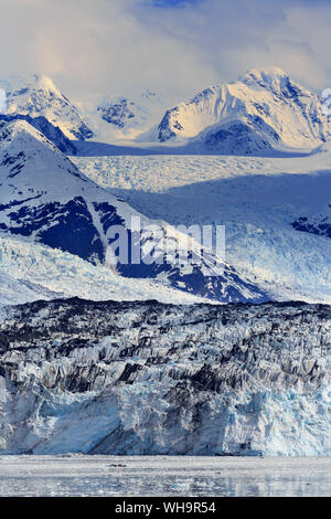 Gletscher in Harvard College Fjord, Southeast Alaska, Vereinigte Staaten von Amerika, Nordamerika Stockfoto