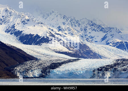 Gletscher in Harvard College Fjord, Southeast Alaska, Vereinigte Staaten von Amerika, Nordamerika Stockfoto