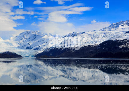 Gletscher in Harvard College Fjord, Southeast Alaska, Vereinigte Staaten von Amerika, Nordamerika Stockfoto