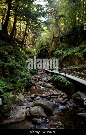 Ein Morgen Foto des flume Gorge in den Weißen Bergen Stockfoto