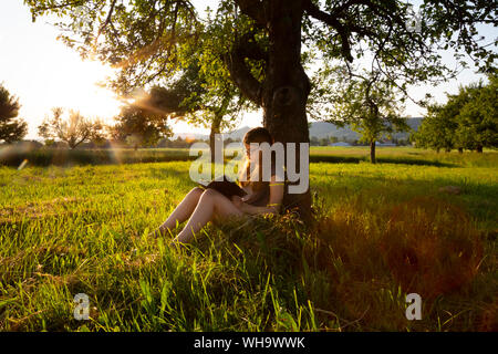 Kleines Mädchen gegen Baum bei Sonnenuntergang ein Buch lesen Schiefe Stockfoto