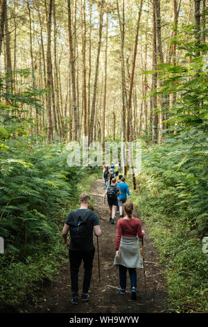 Touristen Trekking unten vom Mount Batur, Batur, Bali, Indonesien, Südostasien, Asien Stockfoto