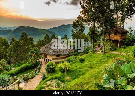 Agandi Eco Lodge (die Hütten), Bwindi Impenetrable Forest Nationalpark, UNESCO-Weltkulturerbe, Uganda, Ostafrika, Südafrika Stockfoto