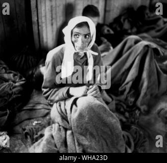 WW2: Belsen concentration camp, 17. April 1945. Szene in der Hütte, wo Opfer von Typhus untergebracht waren. Stockfoto