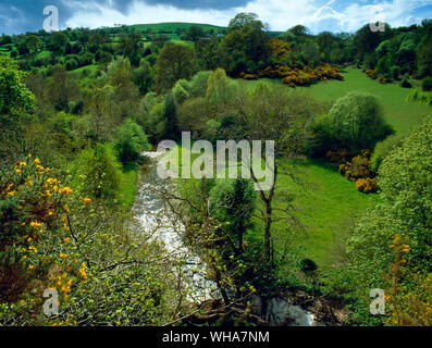 Anzeigen SW über den Fluss Alyn (Afon Alun) südlich von des Teufels Schlucht Calcit mine Downstream (N) Der loggerheads Land Park, North Wales, UK. Stockfoto