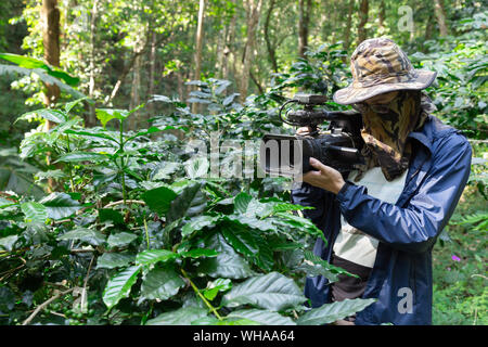 Kameramann reporter Arbeiten und zur Aufzeichnung von digitalen Video Kamera zu schießen Arabica Bäume pflanzen in voller grüne Bohne Samen für die News repo Stockfoto