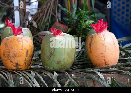 Coconut bereit, auf den Markt zu trinken auf den Seychellen Stockfoto