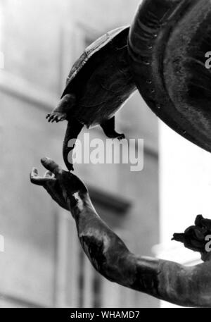 Brunnen der Schildkröten in der Piazza Mattei Stockfoto