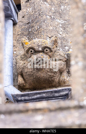 Mittelalterliche wasserspeier an der St. Peters Kirche (1465) in der Cotswold Stadt Winchcombe, Gloucestershire, Großbritannien Stockfoto