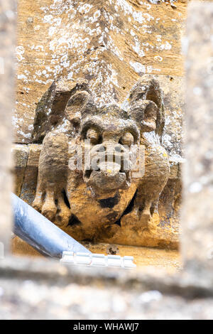 Mittelalterliche wasserspeier an der St. Peters Kirche (1465) in der Cotswold Stadt Winchcombe, Gloucestershire, Großbritannien Stockfoto