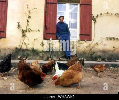 Französische Mann. Hühner Hühner. Geflügel. Vögel. . . Stockfoto