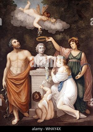 Tempel der Flora von Dr. Robert John Thornton (1768-1837). Aesculapius Flora Ceres und Amor, ehrt die Büste von Carl von Linné. Stockfoto