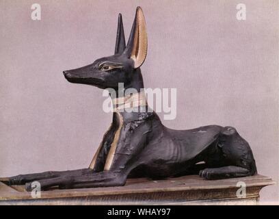 Tut-ench-Amun in der Form der Hund Anubis im Laufe seiner Transformationen. Tukankhamen, von Christiane Desroches Noblecourt, Seite 252.. Anubis, ist der griechische Name für den antiken Gott der Unterwelt in der ägyptischen Mythologie, die geführte und geschützt die Geister der Toten. Die Hieroglyphischen ist genauer Dinkel Anpu (auch Anup, Anupu, Wip, Ienpw, Inepu, Yinepu oder Inpw). Gebete an Anubis sind gefunden worden, auf der die meisten alten Gräber in Ägypten geschnitzt. Anubis war schwarz lackiert zu weiteren link ihn mit der Verstorbenen - ein Körper, einbalsamiert wurde wurde ein Pitch Black Farbe. Schwarz war auch Stockfoto