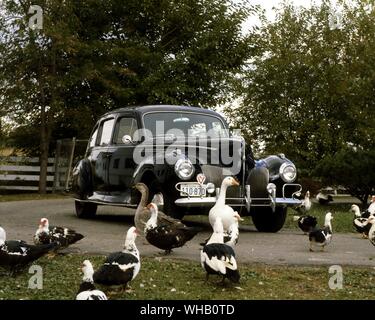 1940 Lincoln Zephyr V12-Limousine Modell 73. A.C.D Museum Stockfoto