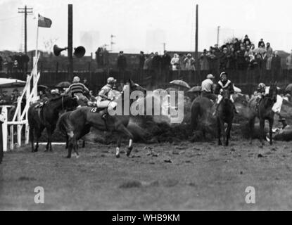 Grand National in Aintree 1967, Chaos der Pferde und Jockeys am 23 Zaun durch eine lose Pferd Überqueren der Länge der Sprung verursacht. . 8. April 1967 Stockfoto