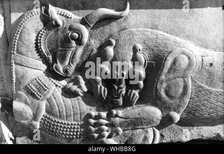 Apadana Palace, Persepolis: Alte Stadt in Persien, Hauptstadt des persischen Reichs, gegründet von Darius. In der Nähe von modernes Shiraz, Iran. . Szene aus der persischen Mythologie in der apadana Hall, Angra Mainyu tötet die urzeitlichen Stier, deren Saatgut von Mah, der Mond ist gerettet, als Quelle für alle anderen Tiere Stockfoto