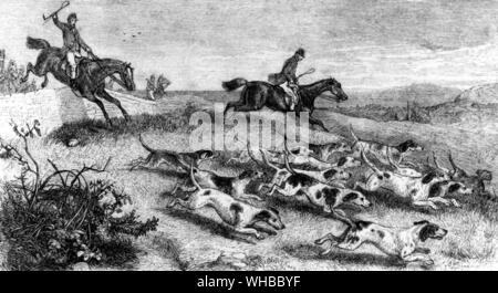 Herr William Pitt Lennox. Bilder von Sporting Leben Zeichen & 1859. Das Cheltenham Foxhounds. Stockfoto