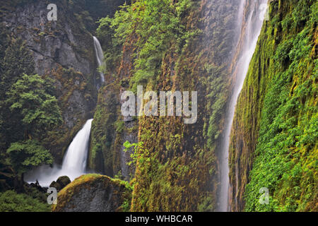 Feder Volumen von Wasser ergießt sich über Wahclella fällt und diese saisonale Wasserfall in Oregon Columbia River Gorge National Scenic Area. Stockfoto