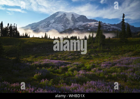 Frische herbst Schneefall auf höchsten Washington's Peak, Mt Rainier, in Plummer Peak Tarn am Mount Rainier National Park wider. Stockfoto