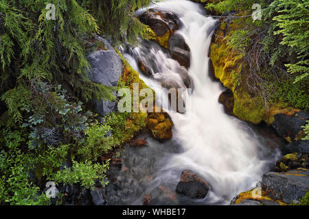 Frische herbst Schneefall auf höchsten Washington's Peak, Mt Rainier, in Plummer Peak Tarn am Mount Rainier National Park wider. Stockfoto