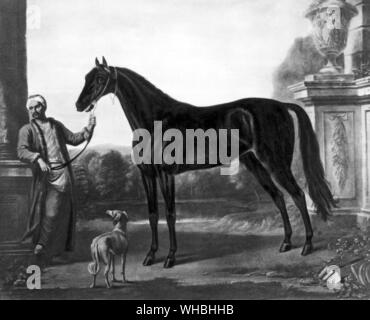 Byerley Turk, der älteste der drei berühmten Gründer der Thoroughbred, männliche Linie des Byerley Turk hinunter bis in die Gegenwart durch Herodes. Dunkelbraun Colt, C. 1679 durch Wootten. In England im Jahre 1680 s importiert. Als sein Porträt von Wootton zeigt, die Byerley Turk war eine ungekennzeichnete, dunkel braunes Pferd mit einem arabischen Aussehen, trotz seinen Titel als Türke. Er war sehr prepotent und viele seiner Nachkommen sind braun oder schwarz wie sich. Die Geschichte der Pferderennen von Roger Longrigg, Seite 59. . . . Stockfoto