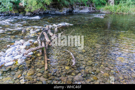 Das Cedar River fließt über die Felsen in Maple Valley, Washington. Stockfoto