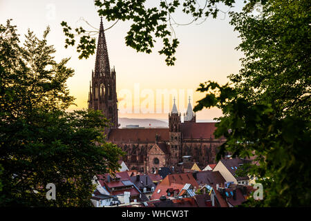 Deutschland, berühmten antiken Münster oder minster Kathedrale im gotischen Architektur durch die grünen Blätter eines Baumes über die Dächer der Stadt Freiburg gesehen Stockfoto