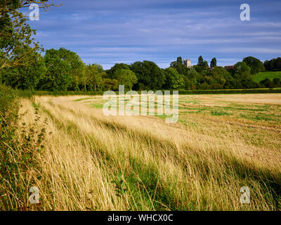 Auf der Suche nach Hough auf den Hügeln Allerheiligen Kirche über Stoppeln Felder von Brandon Road mit einem Feld Marge im Vordergrund. Stockfoto