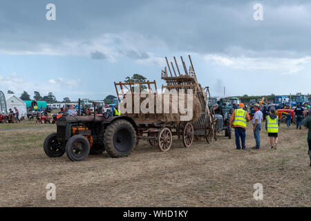 Haselbury Plucknet. Somerset. Vereinigtes Königreich. 18. August 2019. Ein vintage Fordson Major ist ein altmodischer Anhänger voller Heu Zug gestern f Stockfoto