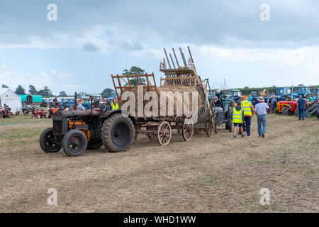 Haselbury Plucknet. Somerset. Vereinigtes Königreich. 18. August 2019. Ein vintage Fordson Major ist ein altmodischer Anhänger voller Heu Zug gestern f Stockfoto