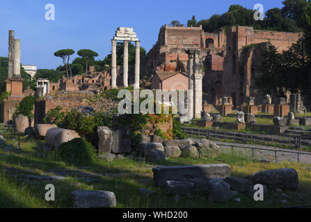 Forum Romanum und Palatin, Rom, Italien Stockfoto