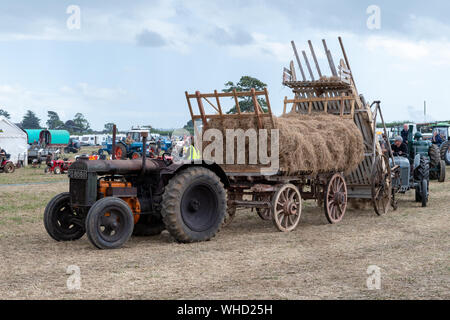 Haselbury Plucknet. Somerset. Vereinigtes Königreich. 18. August 2019. Ein vintage Fordson Major ist ein altmodischer Anhänger voller Heu Zug gestern f Stockfoto
