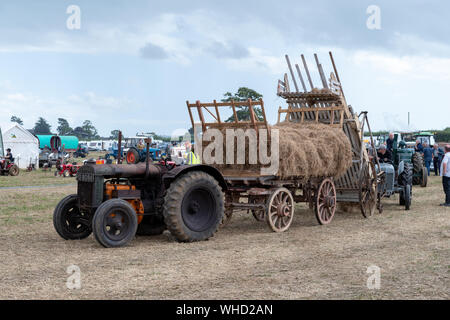 Haselbury Plucknet. Somerset. Vereinigtes Königreich. 18. August 2019. Ein vintage Fordson Major ist ein altmodischer Anhänger voller Heu Zug gestern f Stockfoto
