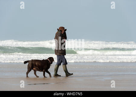 Gehen die Hunde an einem windigen Strand in Cornwall mit einem stürmischen Meer Stockfoto