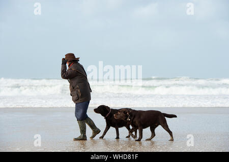 Gehen die Hunde an einem windigen Strand in Cornwall mit einem stürmischen Meer Stockfoto