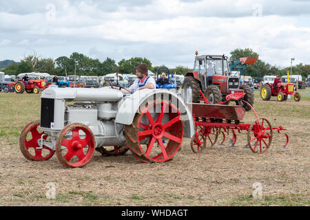 Haselbury Plucknet. Somerset. Vereinigtes Königreich. 18. August 2019. Ein restauriertes vintage Forson Major rund um den Ring zu einem gestern Landwirtschaft angetrieben wird e Stockfoto