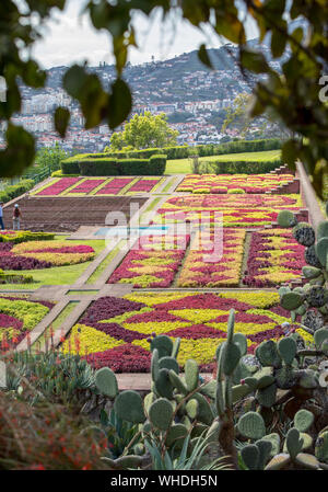 Funchal, Madeira, Portugal - 23 April, 2018: tropischen Botanischen Garten in Funchal auf der Insel Madeira, Portugal Stockfoto