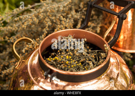 Alembic ist ein Destillieren Apparat des arabischen Ursprungs, die verwendet werden können, ätherische Öle und eine Auswahl an alkoholischen Getränken zu destillieren. Artemisia abisint Stockfoto