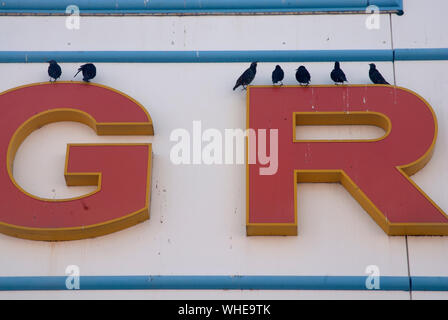 Stare thront auf dem G und R des Pier name Seufzer, den Grand Pier, Weston-Super-Mare, Somerset, England Großbritannien Stockfoto