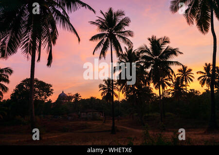 Schönheit Kokospalmen in Arambol Dorf in Nord Goa in Indien bei Sonnenuntergang Stockfoto